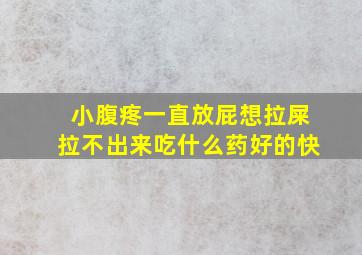 小腹疼一直放屁想拉屎拉不出来吃什么药好的快