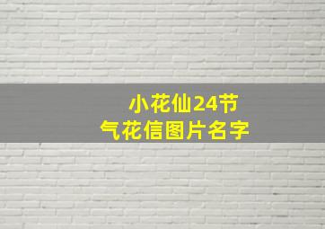 小花仙24节气花信图片名字