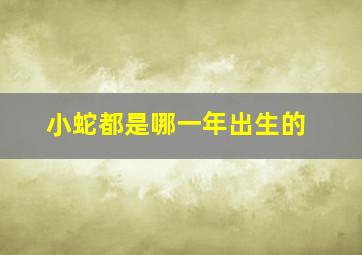 小蛇都是哪一年出生的