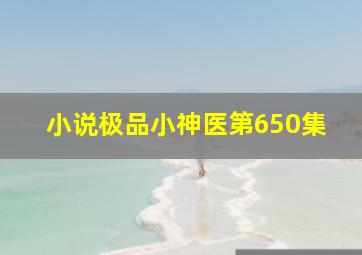 小说极品小神医第650集