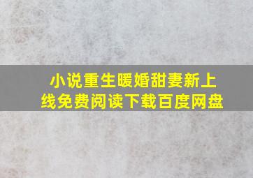 小说重生暖婚甜妻新上线免费阅读下载百度网盘