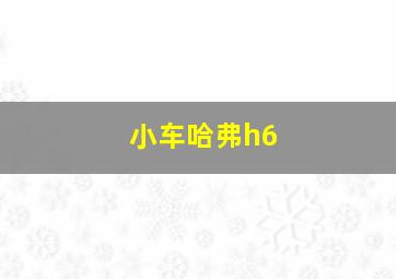 小车哈弗h6