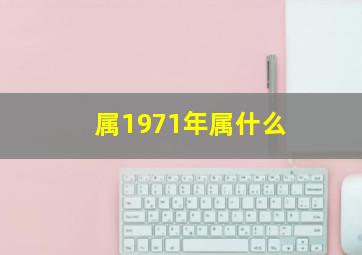 属1971年属什么