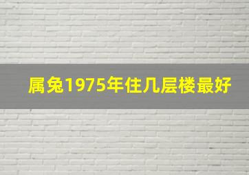 属兔1975年住几层楼最好