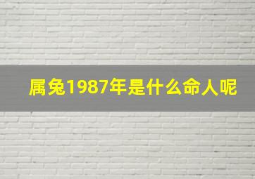 属兔1987年是什么命人呢