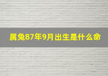 属兔87年9月出生是什么命