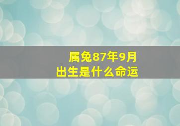 属兔87年9月出生是什么命运