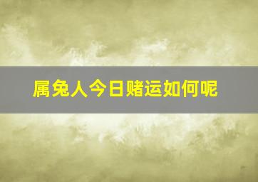 属兔人今日赌运如何呢