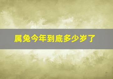 属兔今年到底多少岁了