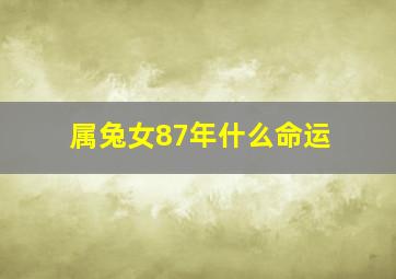 属兔女87年什么命运