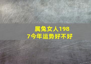 属兔女人1987今年运势好不好