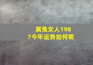 属兔女人1987今年运势如何呢