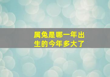 属兔是哪一年出生的今年多大了