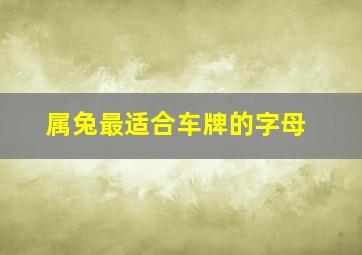 属兔最适合车牌的字母