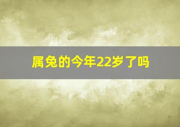 属兔的今年22岁了吗