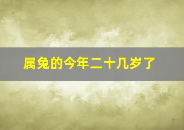 属兔的今年二十几岁了