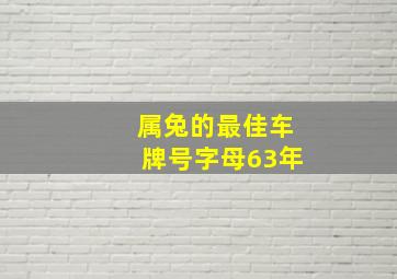 属兔的最佳车牌号字母63年