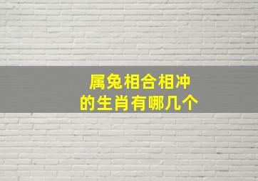 属兔相合相冲的生肖有哪几个