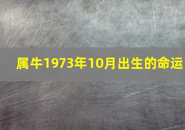 属牛1973年10月出生的命运