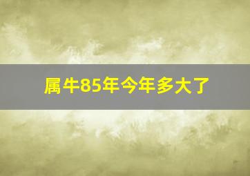 属牛85年今年多大了