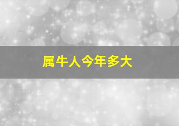 属牛人今年多大