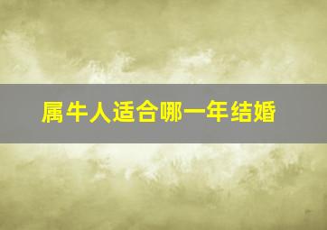 属牛人适合哪一年结婚