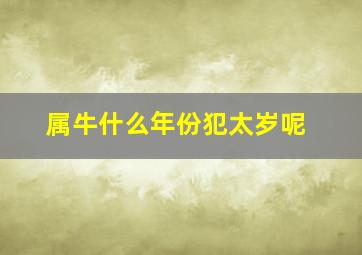 属牛什么年份犯太岁呢