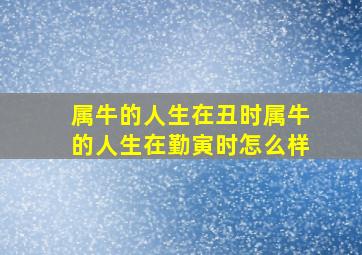 属牛的人生在丑时属牛的人生在勤寅时怎么样