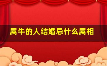 属牛的人结婚忌什么属相