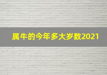 属牛的今年多大岁数2021