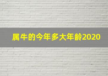 属牛的今年多大年龄2020