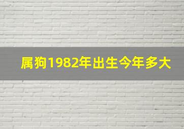 属狗1982年出生今年多大