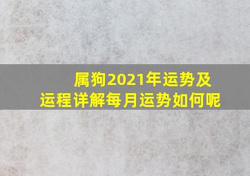 属狗2021年运势及运程详解每月运势如何呢