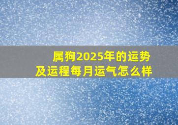 属狗2025年的运势及运程每月运气怎么样