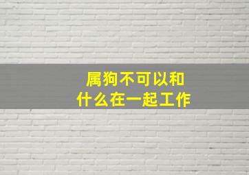 属狗不可以和什么在一起工作