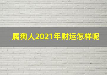 属狗人2021年财运怎样呢