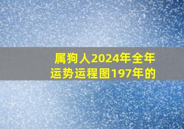 属狗人2024年全年运势运程图197年的