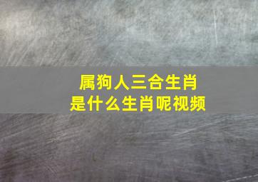 属狗人三合生肖是什么生肖呢视频