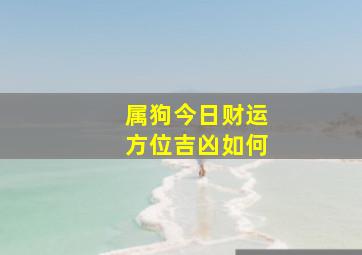 属狗今日财运方位吉凶如何