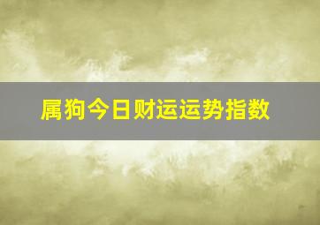 属狗今日财运运势指数