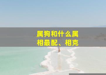 属狗和什么属相最配、相克