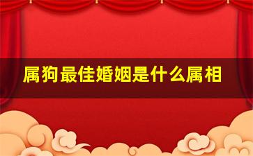 属狗最佳婚姻是什么属相