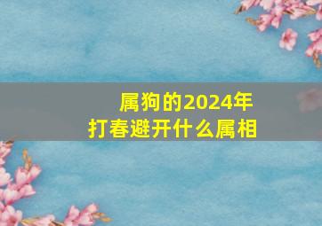 属狗的2024年打春避开什么属相