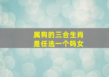 属狗的三合生肖是任选一个吗女