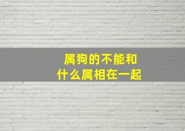 属狗的不能和什么属相在一起