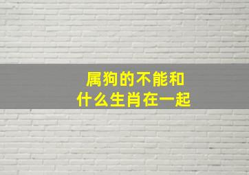 属狗的不能和什么生肖在一起