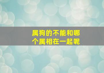 属狗的不能和哪个属相在一起呢