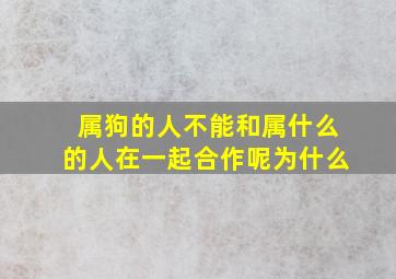 属狗的人不能和属什么的人在一起合作呢为什么