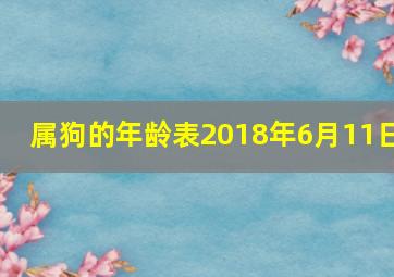 属狗的年龄表2018年6月11日