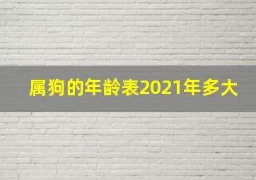 属狗的年龄表2021年多大